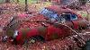1964 Porsche 356c Cabriolet Car Restoration