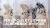 Documentaire Histoire Pers Polis 2021 Antiquit Perse Ach M Nide Et Conqu Te D Alexandre Le Grand