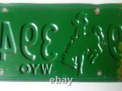 Etats Unis WYOMING 1970 License Plate plaque immatriculation VINTAGE