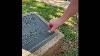 How To Clean Bronze Plaque
